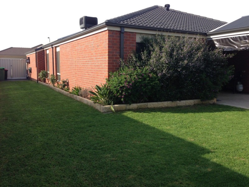 17 Snowy Street, Wodonga VIC 3690