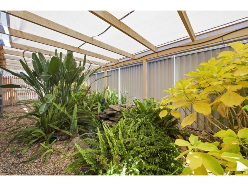 42 Willoughby Avenue, Wodonga VIC 3690