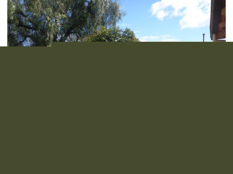 327 Mount Street, Albury NSW 2640