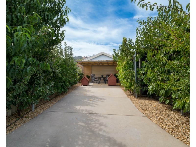 1 Thorneycroft Avenue, Wodonga VIC 3690