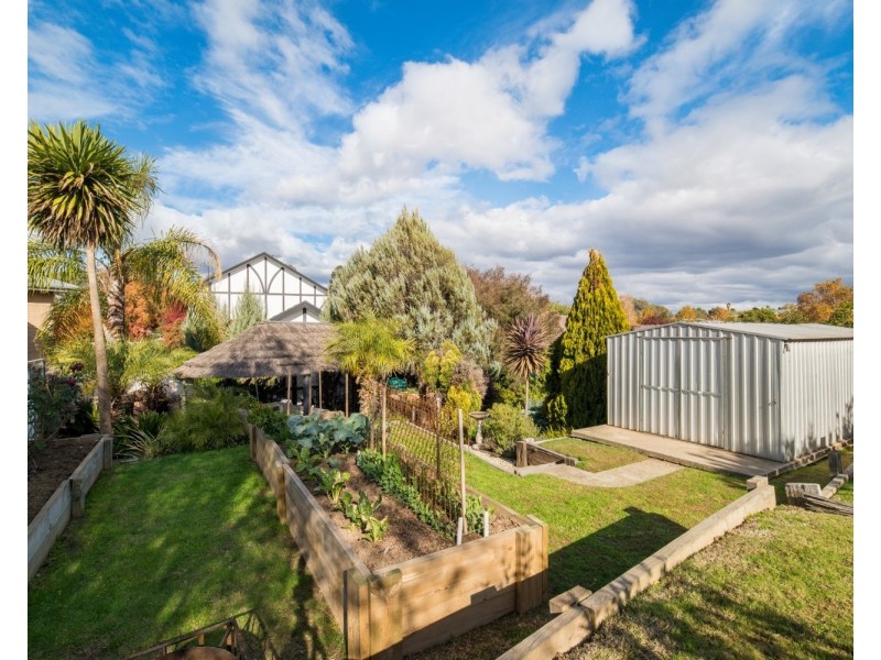 531 Lyne Street, Lavington NSW 2641