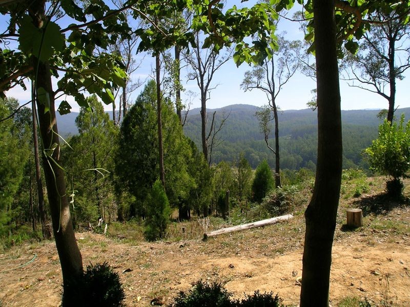 Neerim Junction VIC 3821