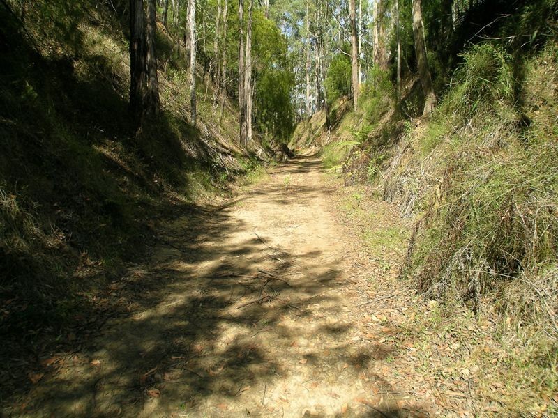 Neerim Junction VIC 3821