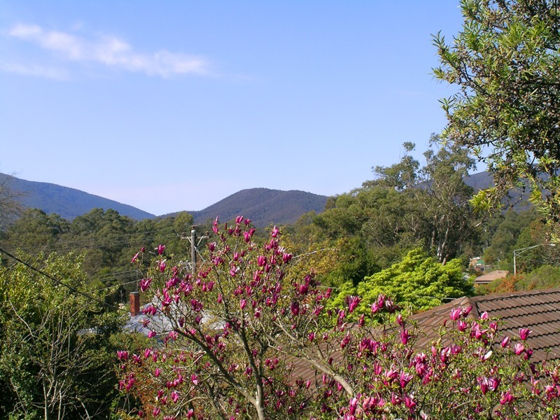 Yarra Junction VIC 3797
