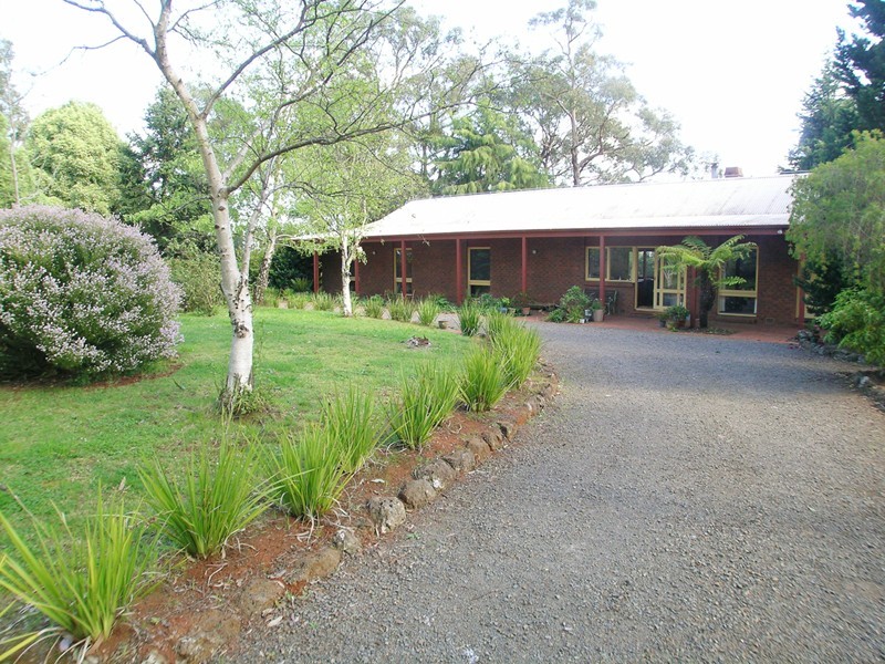 Hoddles Creek VIC 3139