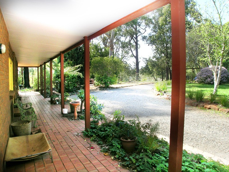 Hoddles Creek VIC 3139