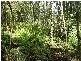 Lot / 20 Beenak Road, Beenak VIC 3139