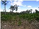 Lot / 20 Beenak Road, Beenak VIC 3139