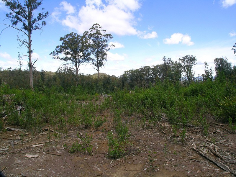 Lot / 20 Beenak Road, Beenak VIC 3139
