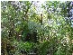 Lot / 20 Beenak Road, Beenak VIC 3139