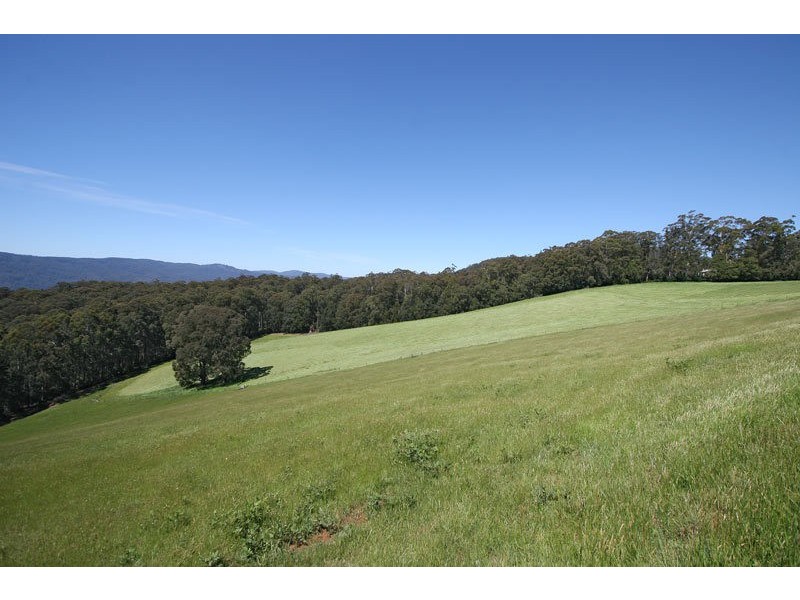 115 Sales Road, Gladysdale VIC 3797