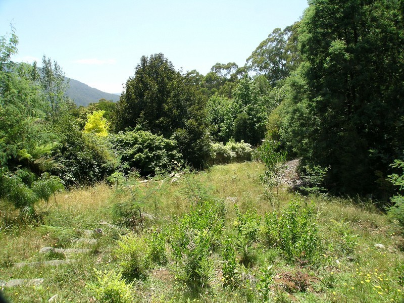 41 Old Warburton Road, Warburton VIC 3799