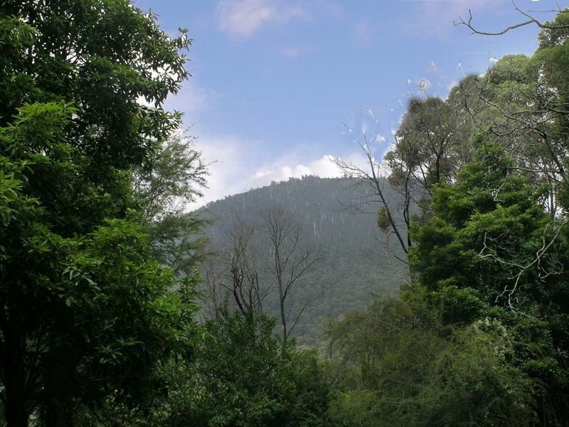 Lot 71 Essex Street, Warburton VIC 3799