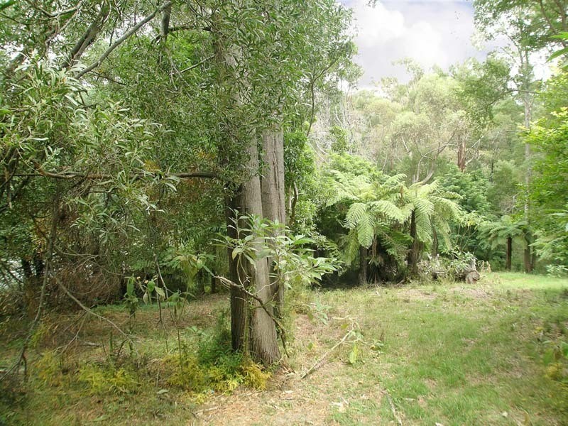 Lot 71 Essex Street, Warburton VIC 3799