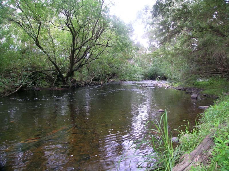Wesburn VIC 3799