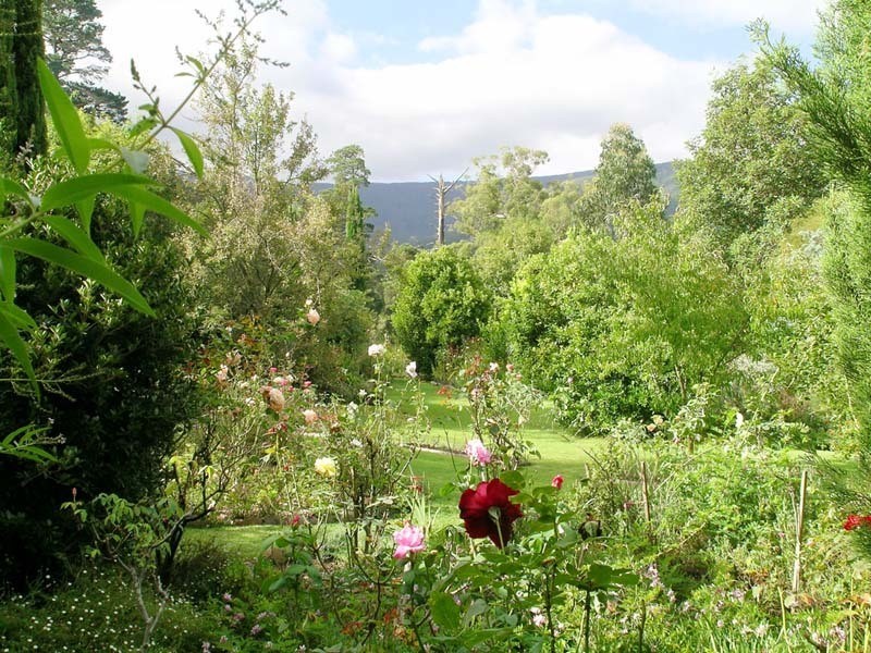 Wesburn VIC 3799