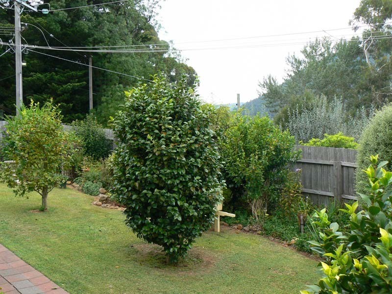 Millgrove VIC 3799