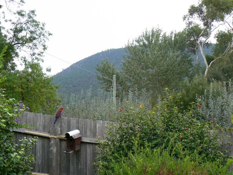 Millgrove VIC 3799