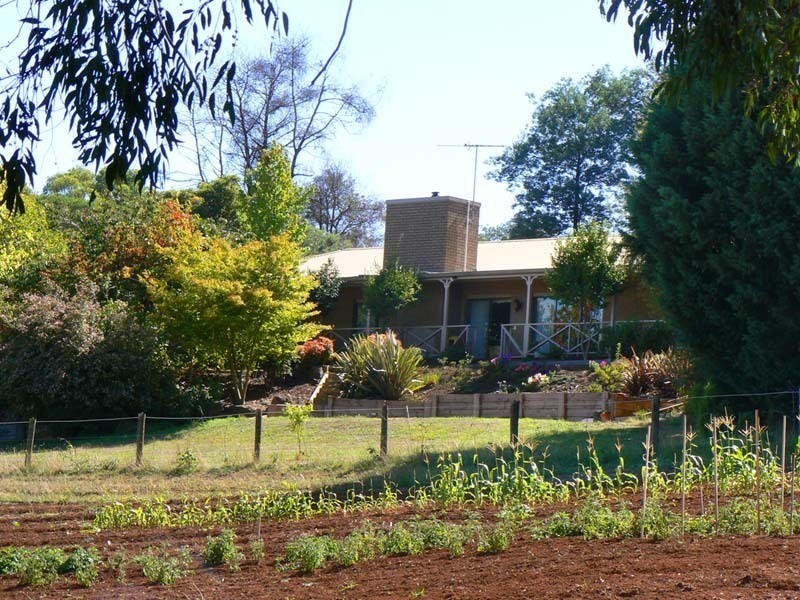 Hoddles Creek VIC 3139