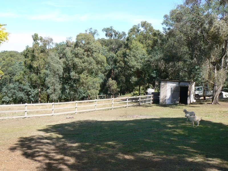 Hoddles Creek VIC 3139