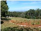 Hoddles Creek VIC 3139