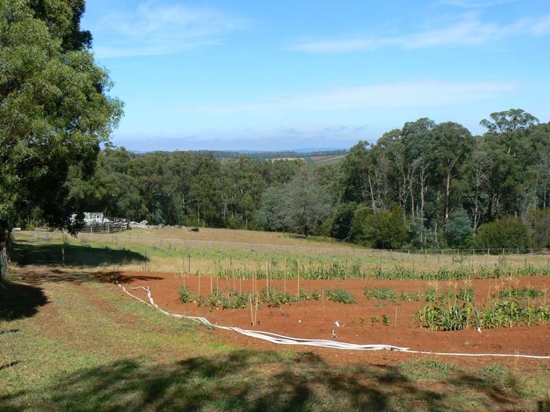 Hoddles Creek VIC 3139