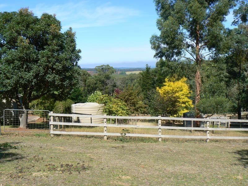 Hoddles Creek VIC 3139