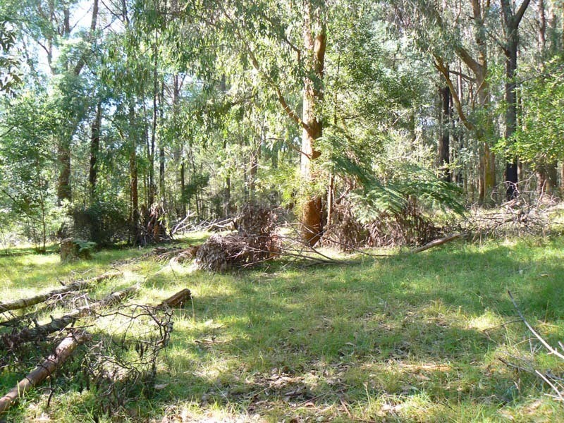 40 Eucalyptus Drive, Powelltown VIC 3797