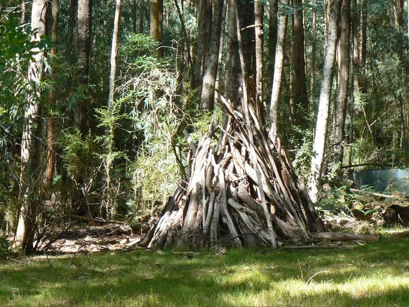 40 Eucalyptus Drive, Powelltown VIC 3797