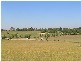 Lot 25 Barrowby Avenue, Woori Yallock VIC 3139