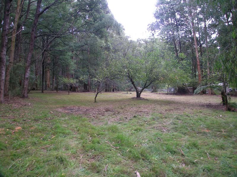 40 Eucalyptus Drive, Powelltown VIC 3797