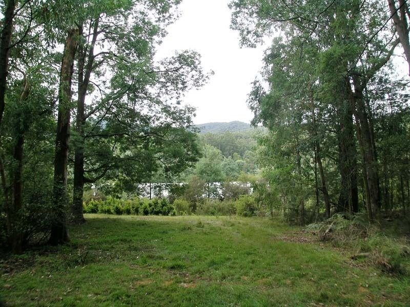 40 Eucalyptus Drive, Powelltown VIC 3797