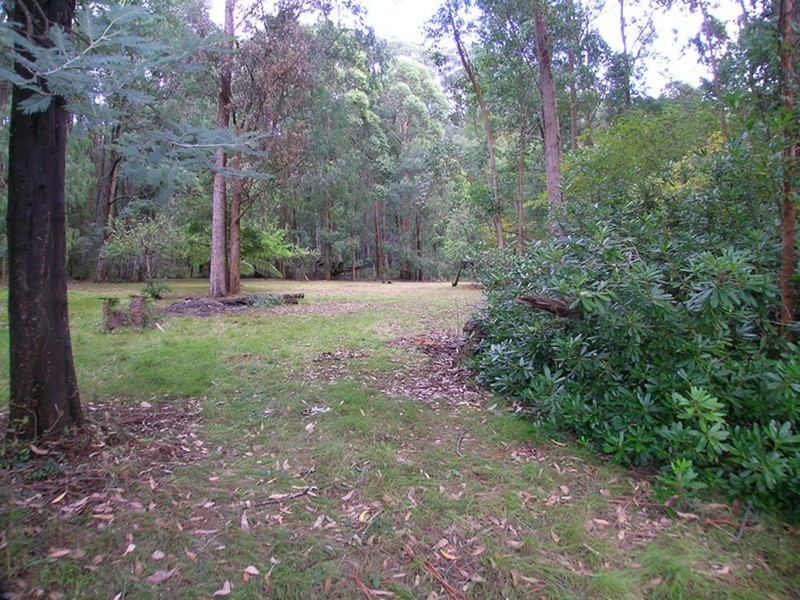 40 Eucalyptus Drive, Powelltown VIC 3797