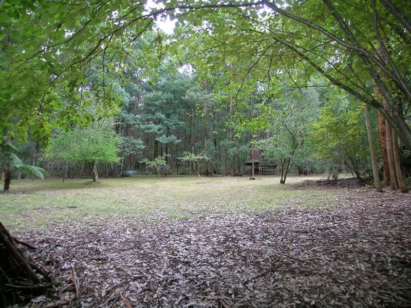 40 Eucalyptus Drive, Powelltown VIC 3797