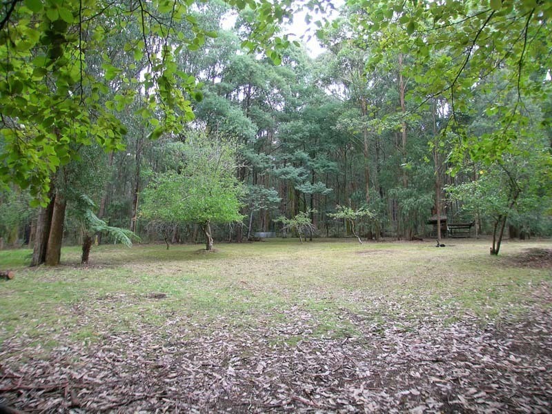 40 Eucalyptus Drive, Powelltown VIC 3797