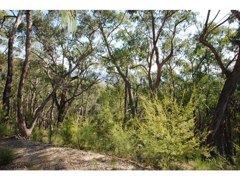 221 Milners Road, Yarra Junction VIC 3797