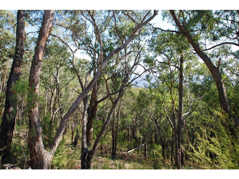 221 Milners Road, Yarra Junction VIC 3797