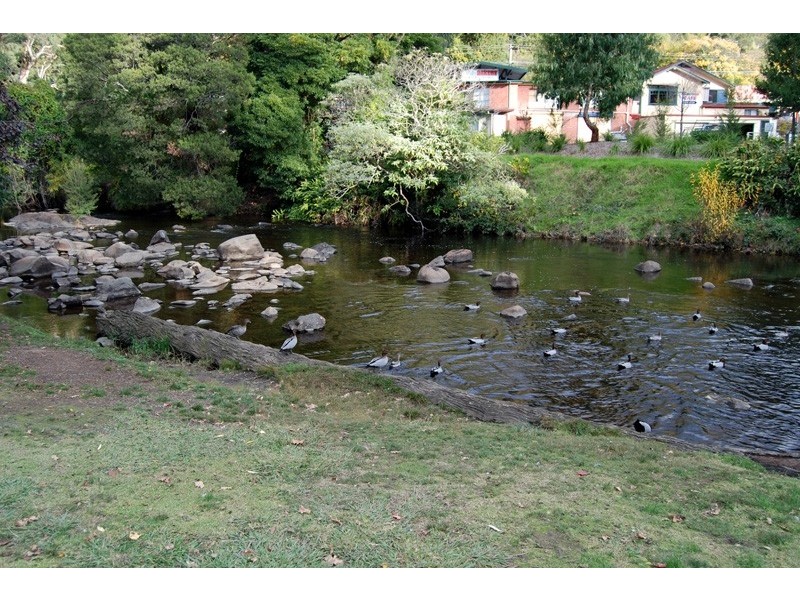 8 Brett Road, Warburton VIC 3799