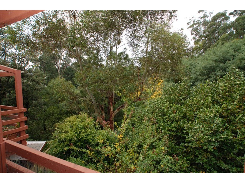 Warburton VIC 3799