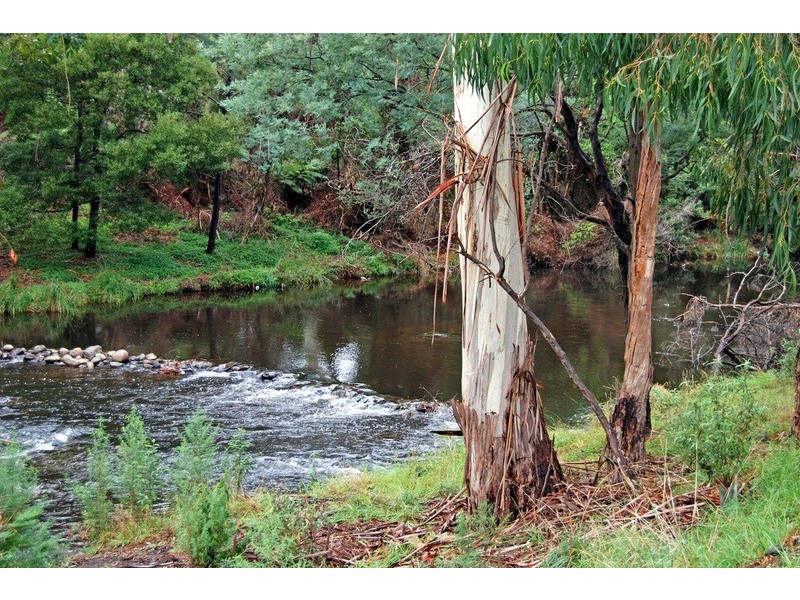 Millgrove VIC 3799