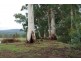 Yarra Junction VIC 3797