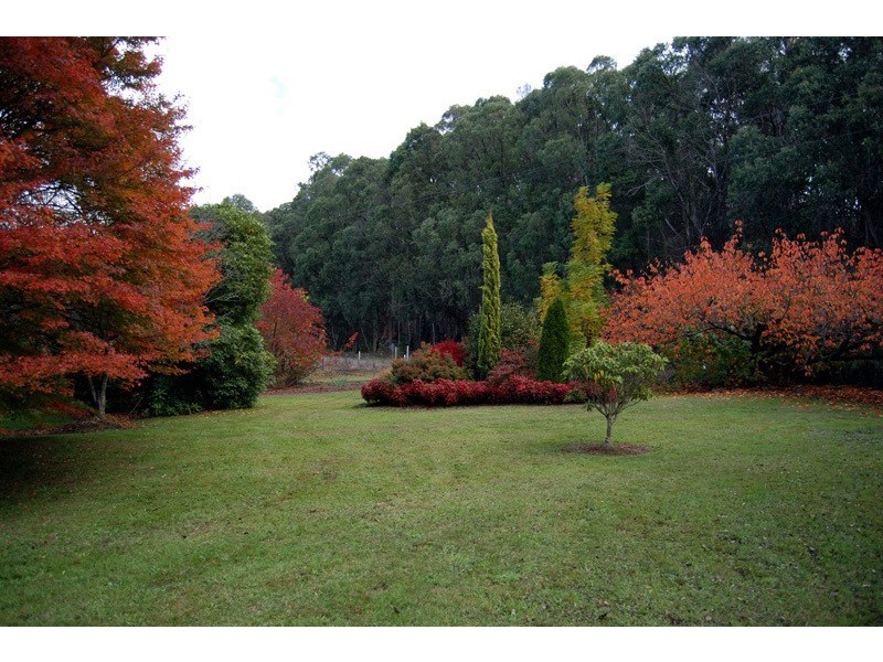 650 Powelltown Road, Noojee VIC 3833