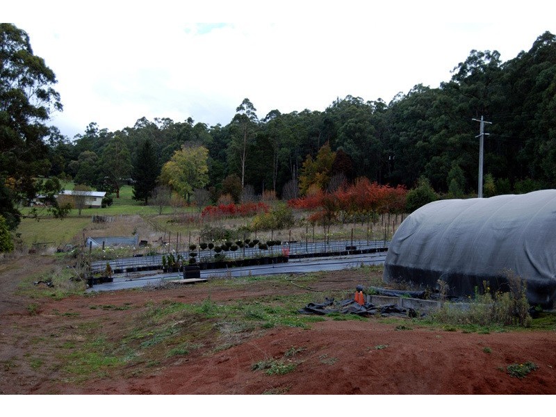 650 Powelltown Road, Noojee VIC 3833