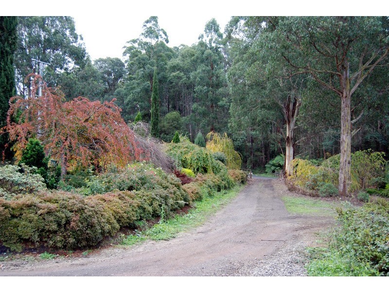 650 Powelltown Road, Noojee VIC 3833