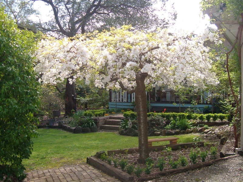 East Warburton VIC 3799