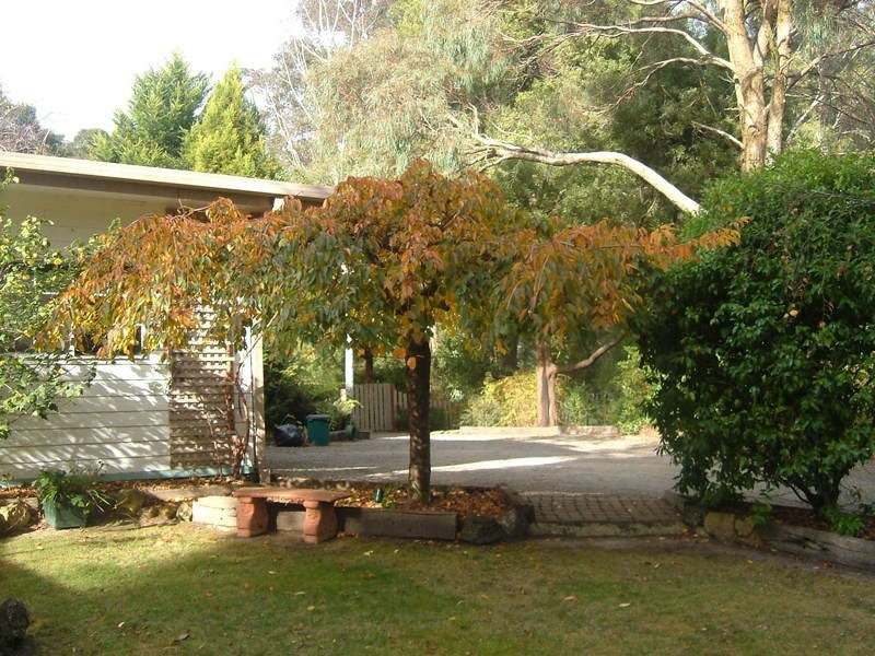 East Warburton VIC 3799