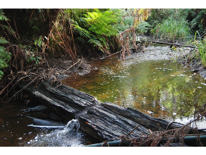 Reefton VIC 3799