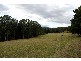 Noojee VIC 3833