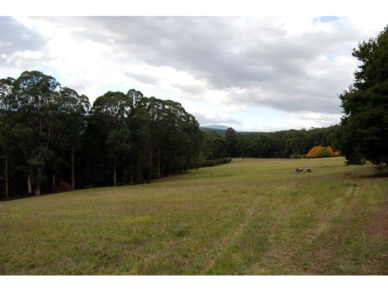 Noojee VIC 3833