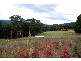 Noojee VIC 3833